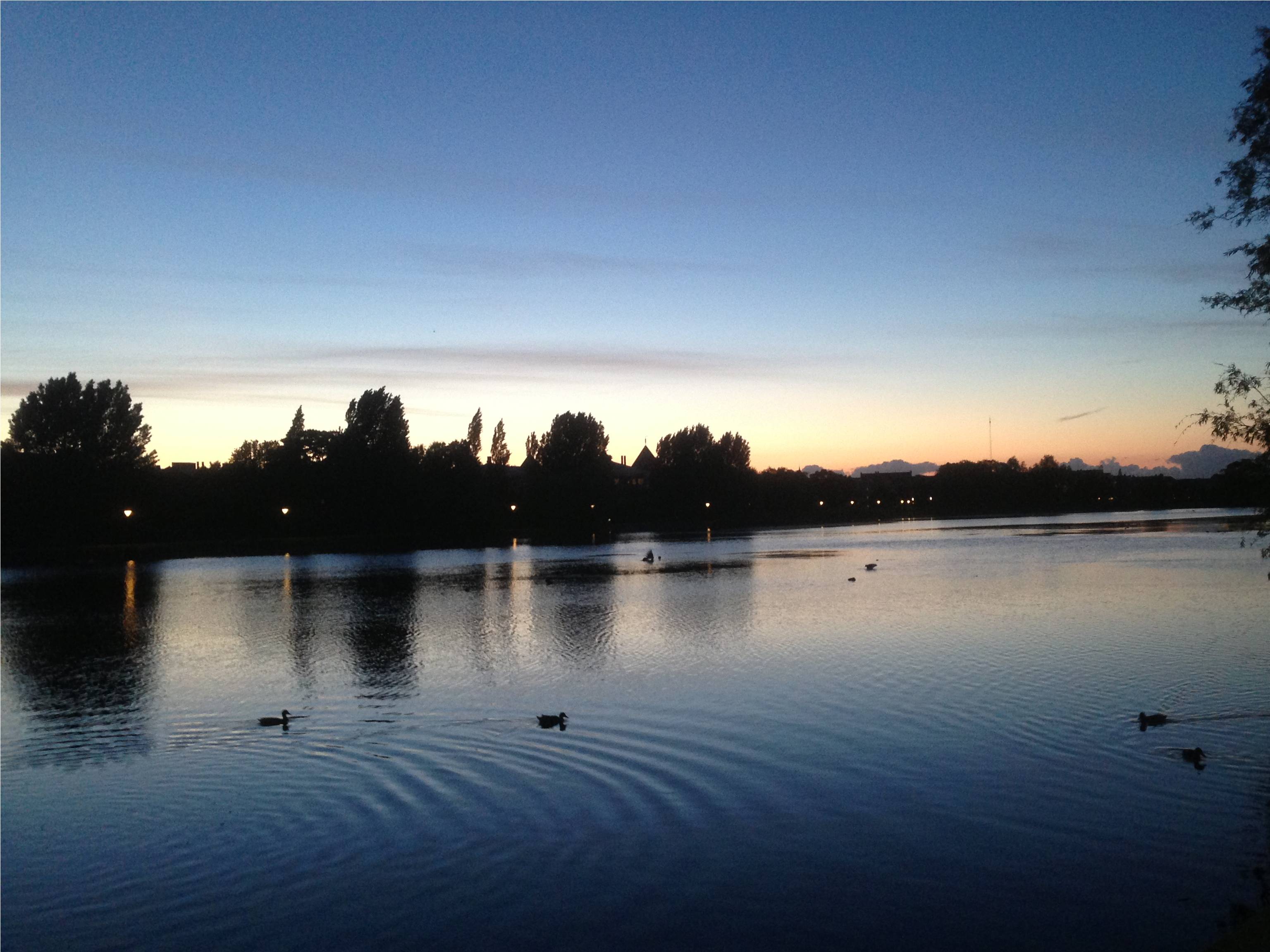 Twilight lake landscape
